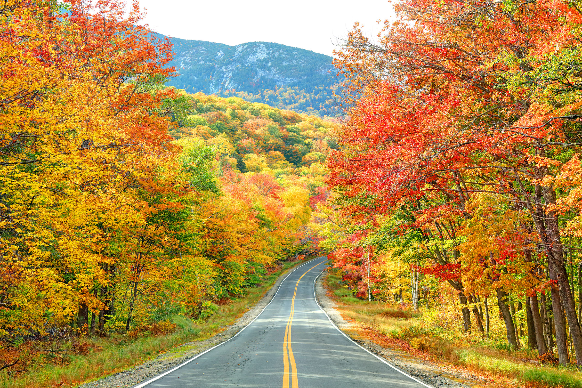 Drive through Grafton Notch Sate Park in Fall