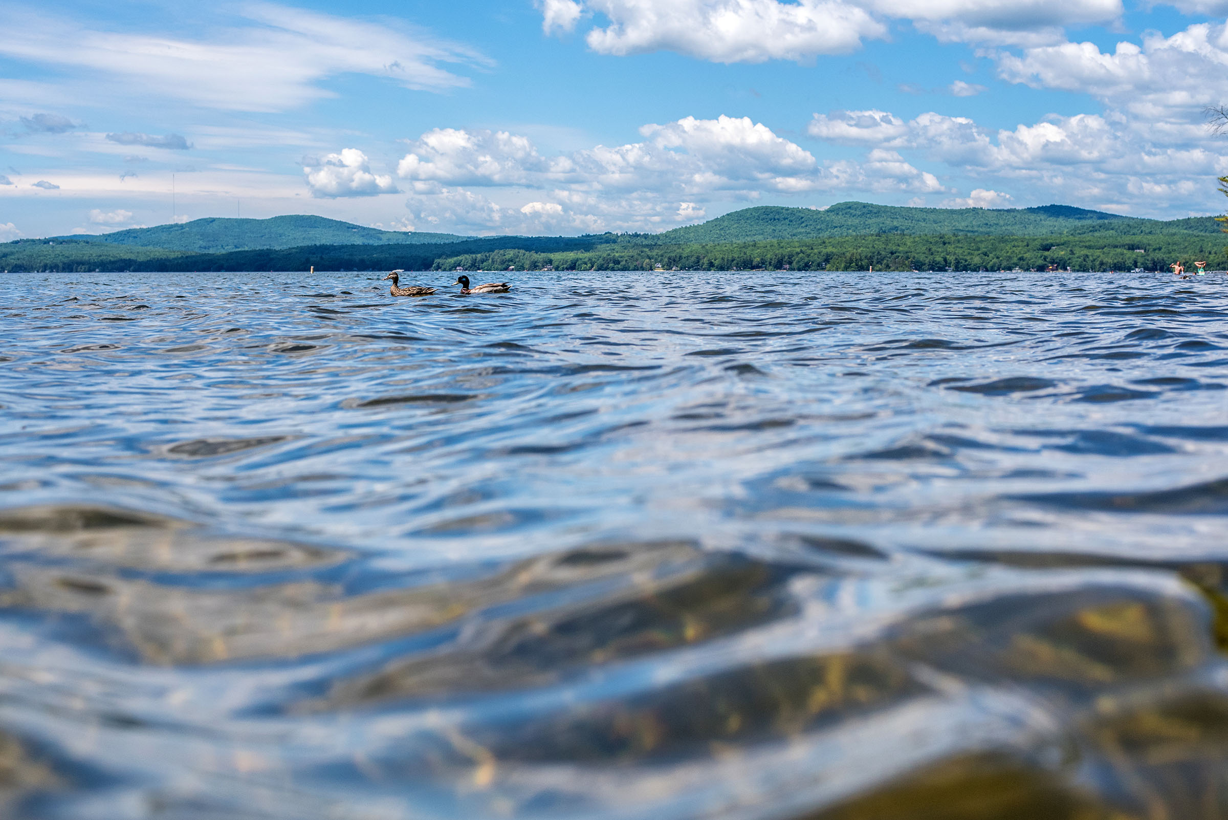 Forests and shoreline adorn the coasts of Sebago Lake State Park in Sebago, Maine.