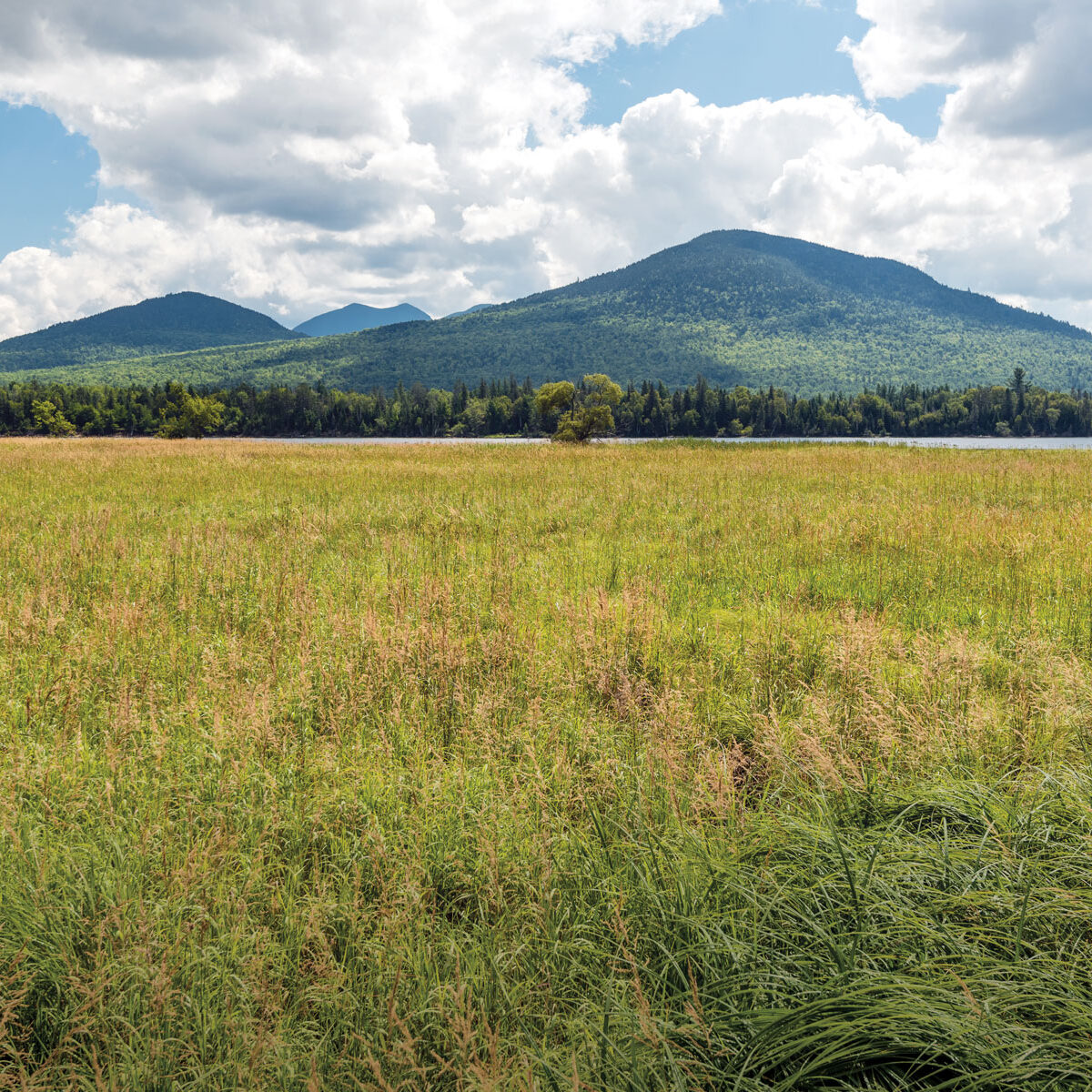 Bigelow Mountain