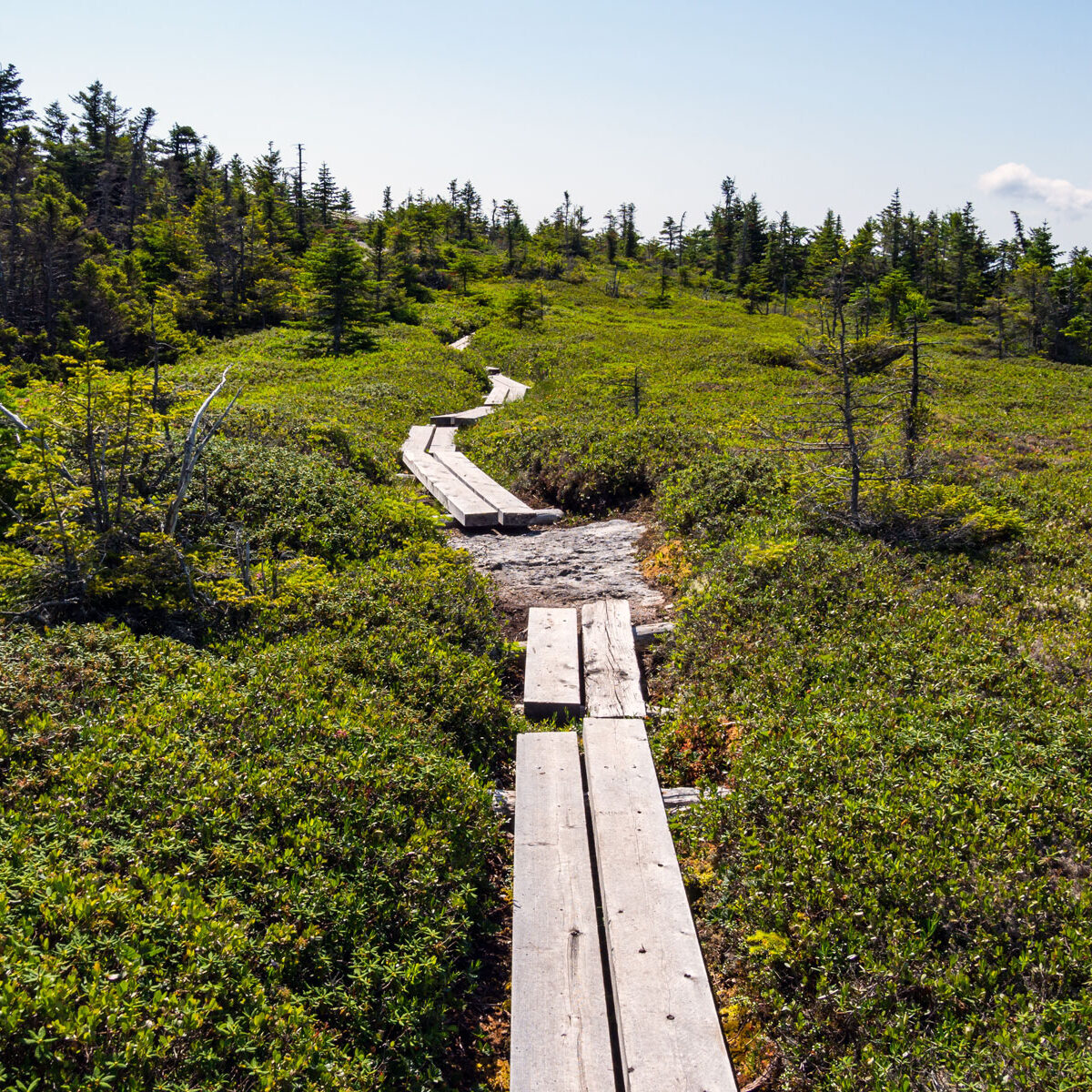 Appalachian Trail on Old Speck