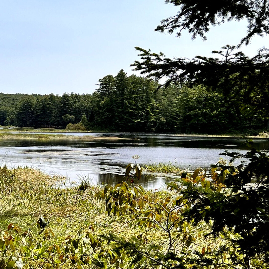 Androscoggin Riverlands State Park