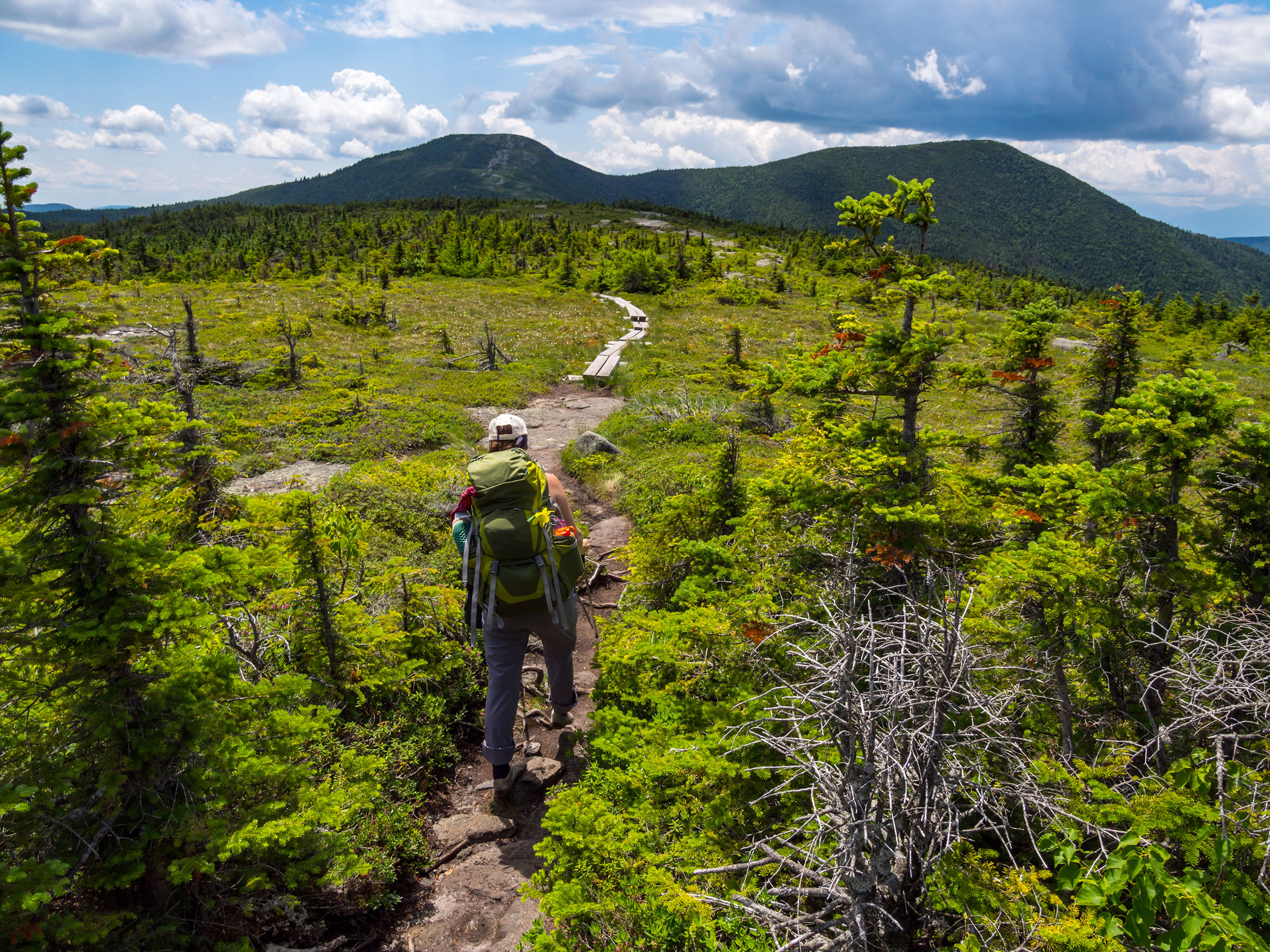 Walking along the Appalachian Trail in the Mahoosuc Range