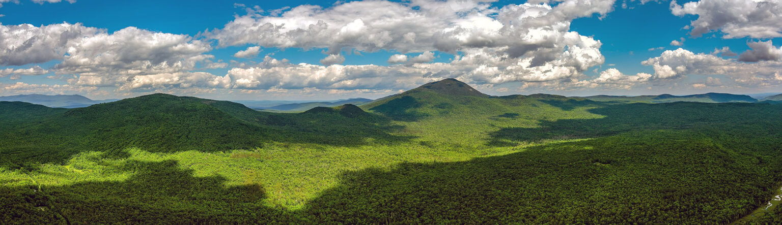 View across Mount Blue State Park in Weld