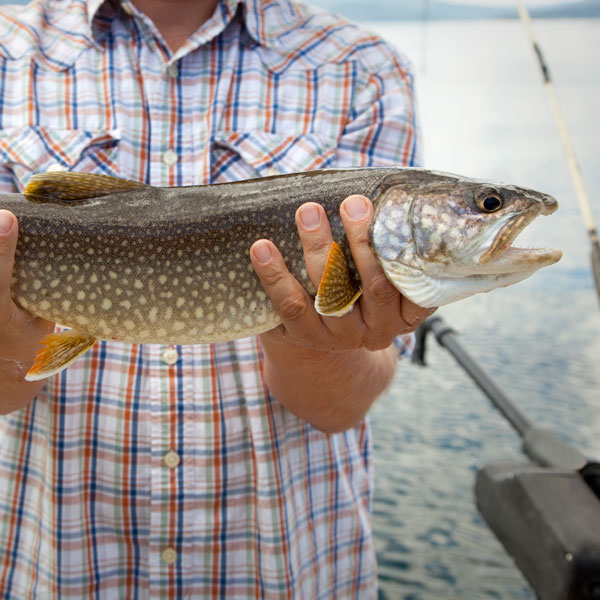 Year-round Fishing in Maine's Lakes and Mountains