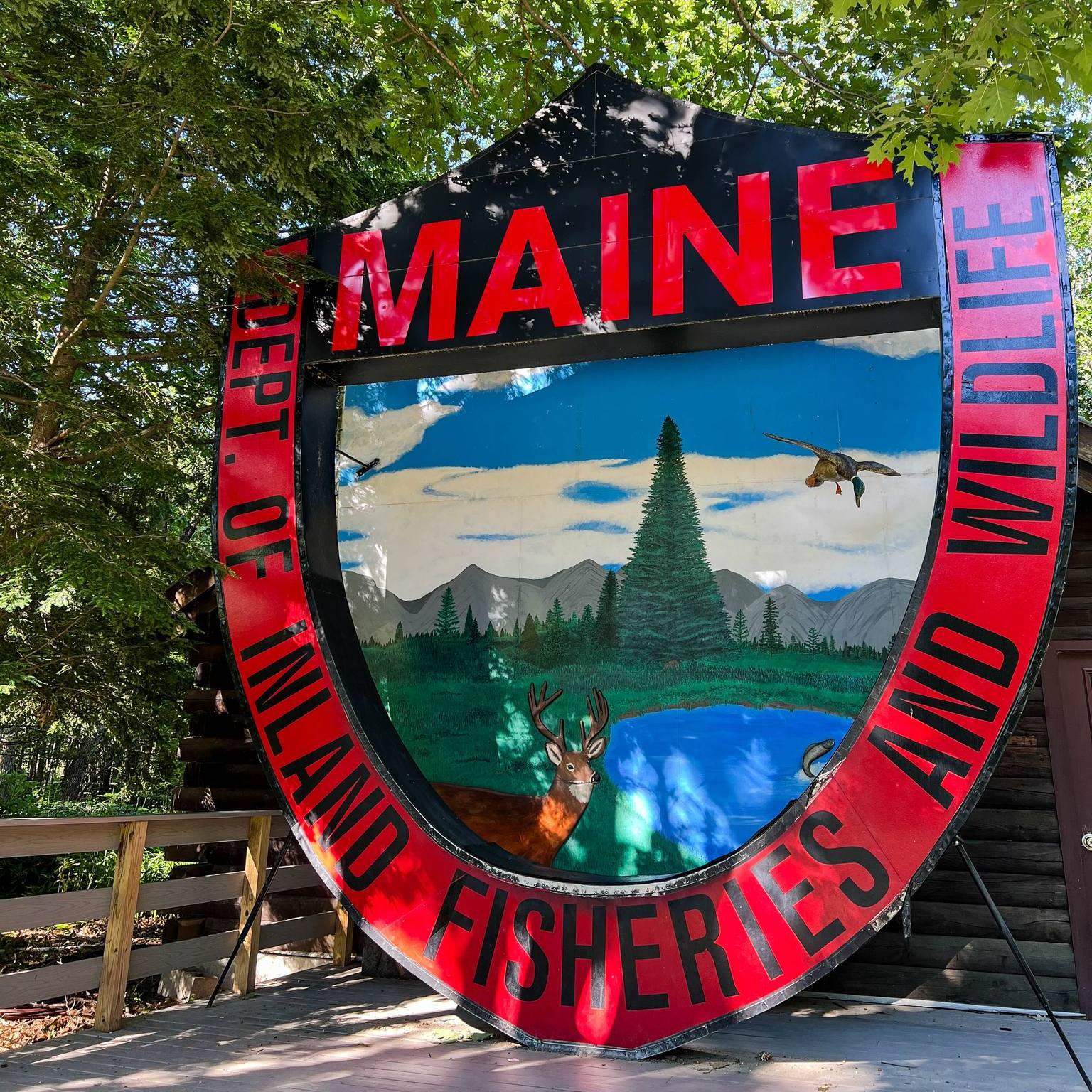 Maine Wildlife Park is home to 30 native wildlife species as well as wildlife gardens, nature trails